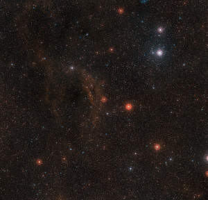 Panoramica del cielo intorno a VY Canis Majoris